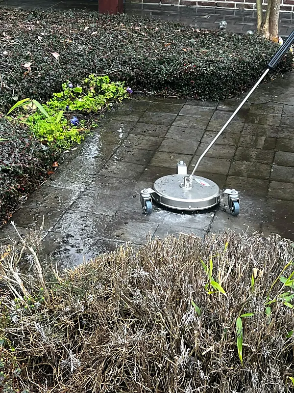 Terras met oppervlaktereiniger