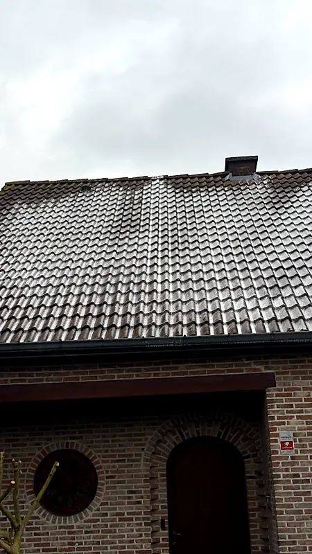 Woning met pannendak voor dakreiniging
